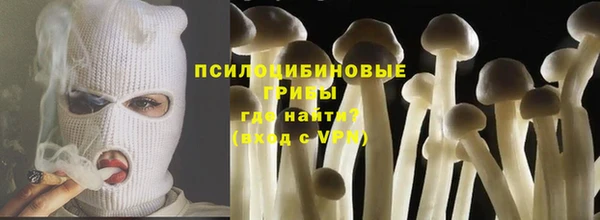 гашик Аркадак